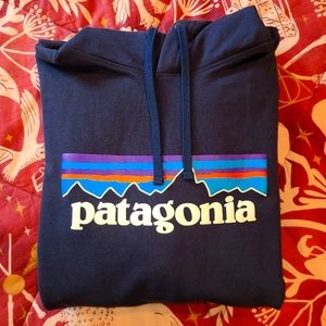 Patagonia Hoodie Med.